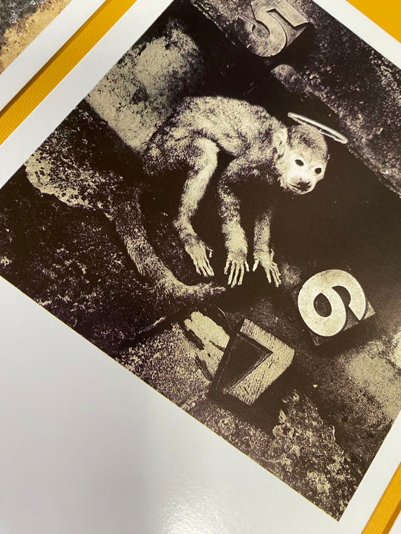 希少 PIXIES 名盤 Doolittle Nine Postcards
