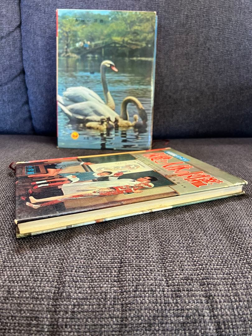 学習図鑑シリーズ5冊 昆虫 動物 鳥類 魚貝 保健と人体 1960年　本　絵本