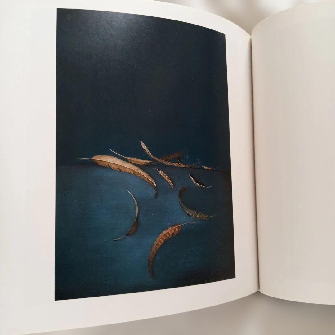 中澤直三郎作品集　図書館リサイクル本