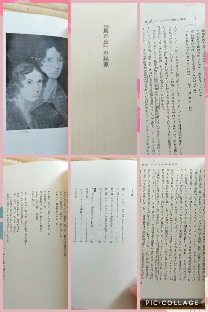 ★　希少価値・絶版本　文学的観点から読み解くエミリ・ブロンテと嵐が丘