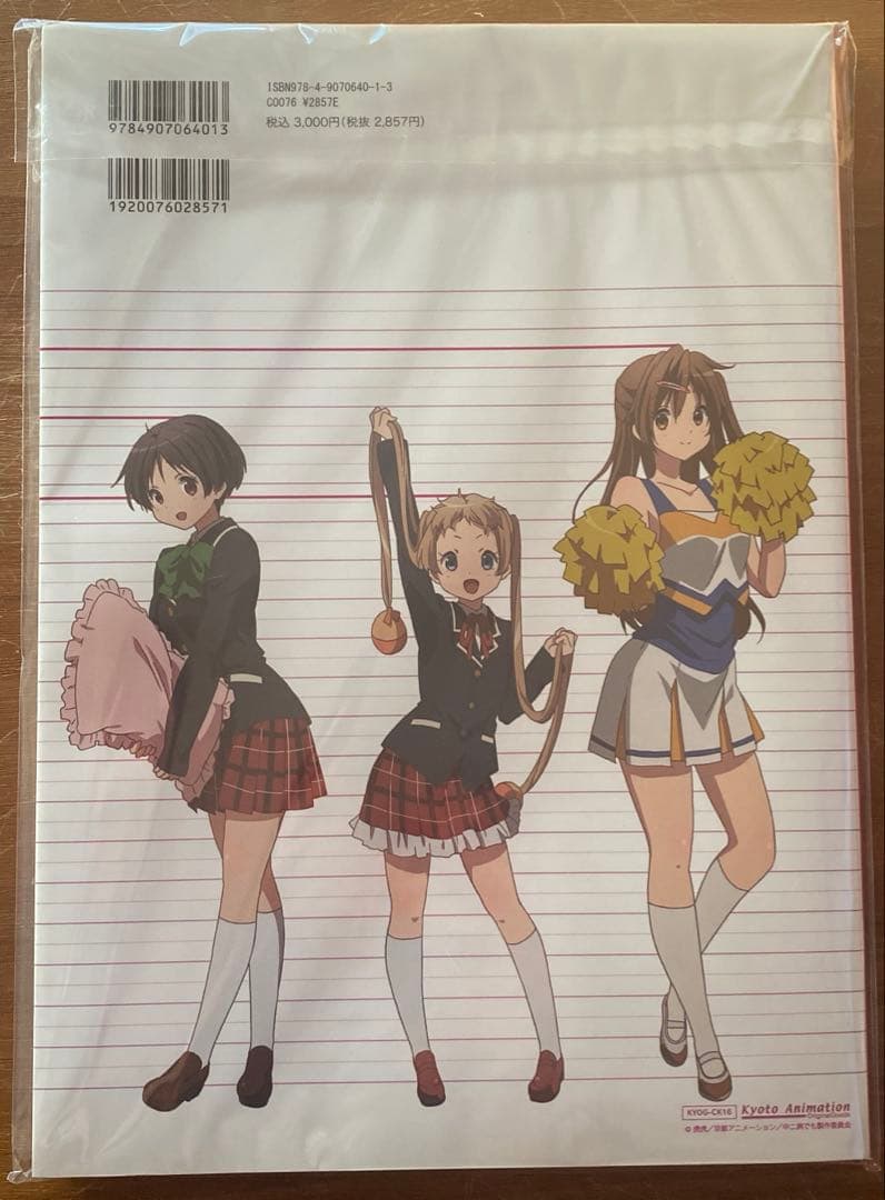 新品未開封　中二病でも恋がしたい！　公式設定資料集　初版