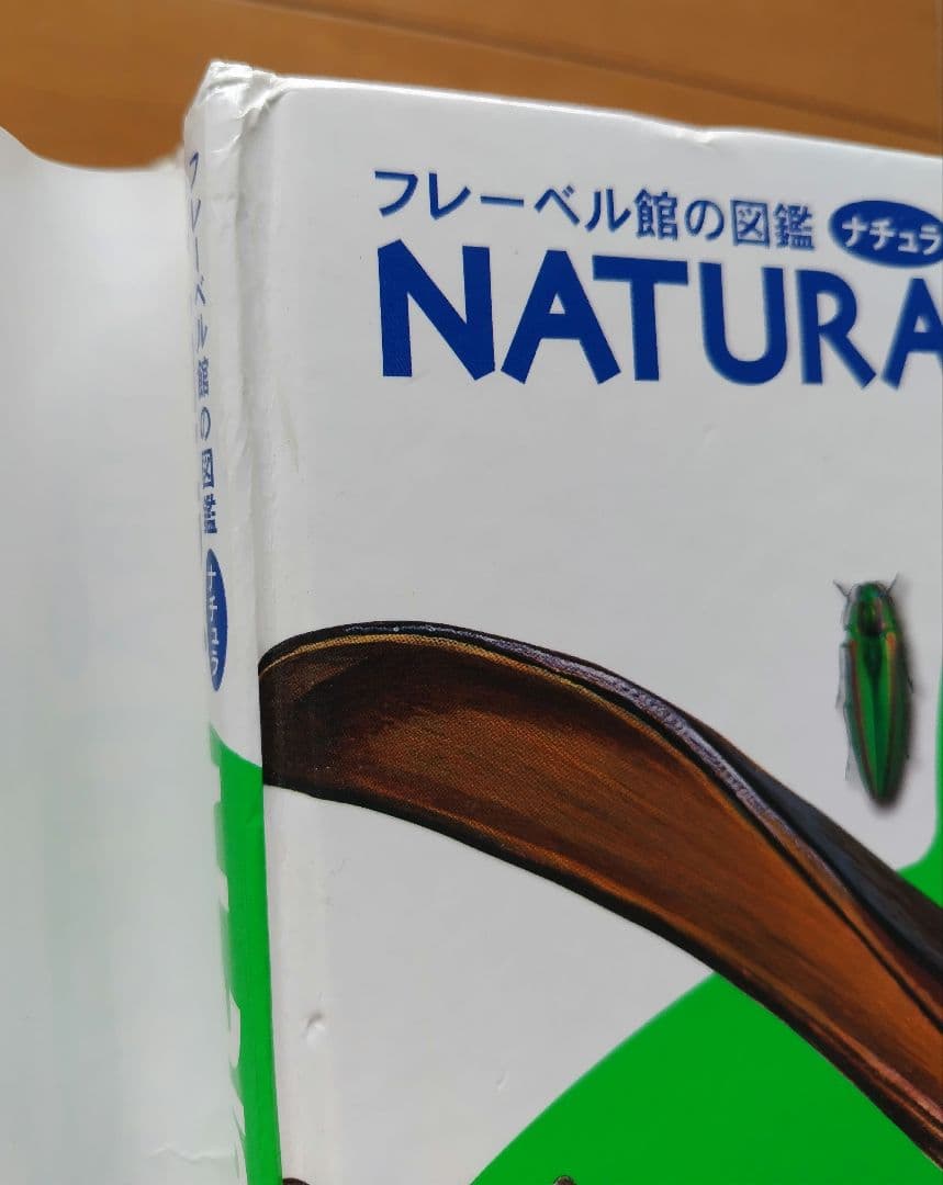 【さらに値下げ】フレーベル館の図鑑　MATURA ５冊セット 美品