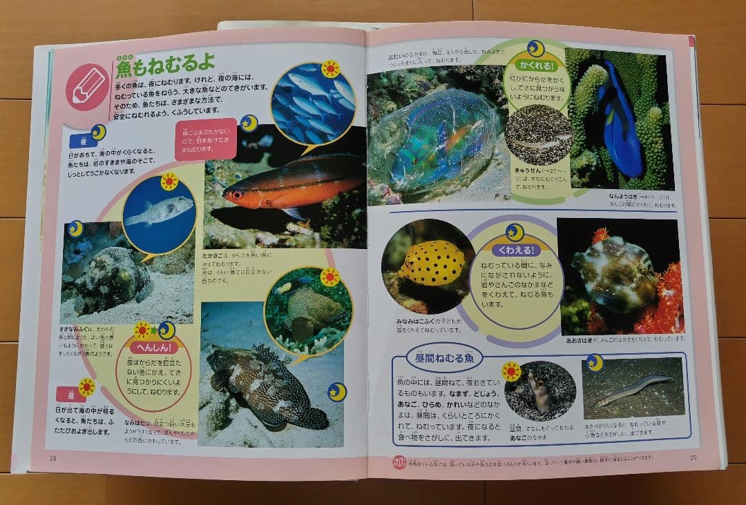 【さらに値下げ】フレーベル館の図鑑　MATURA ５冊セット 美品