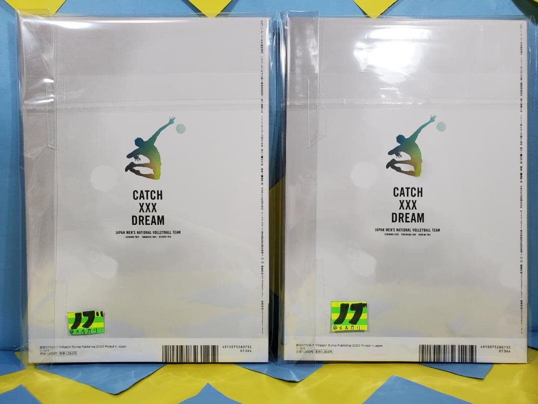 龍神NIPPON MOOK CATCH ××× DREAM キャッチザドリーム