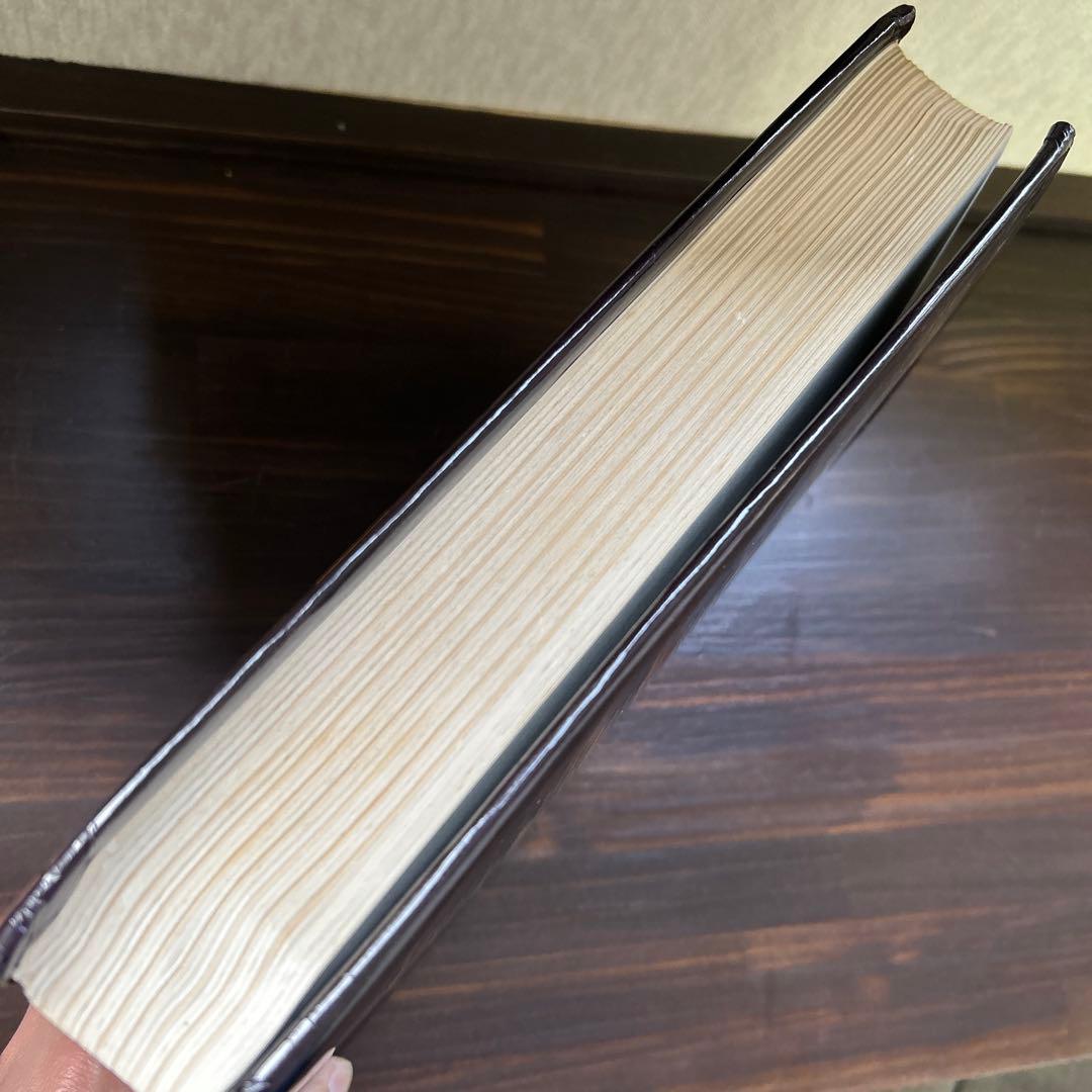 洋書 encylopedia of minerals