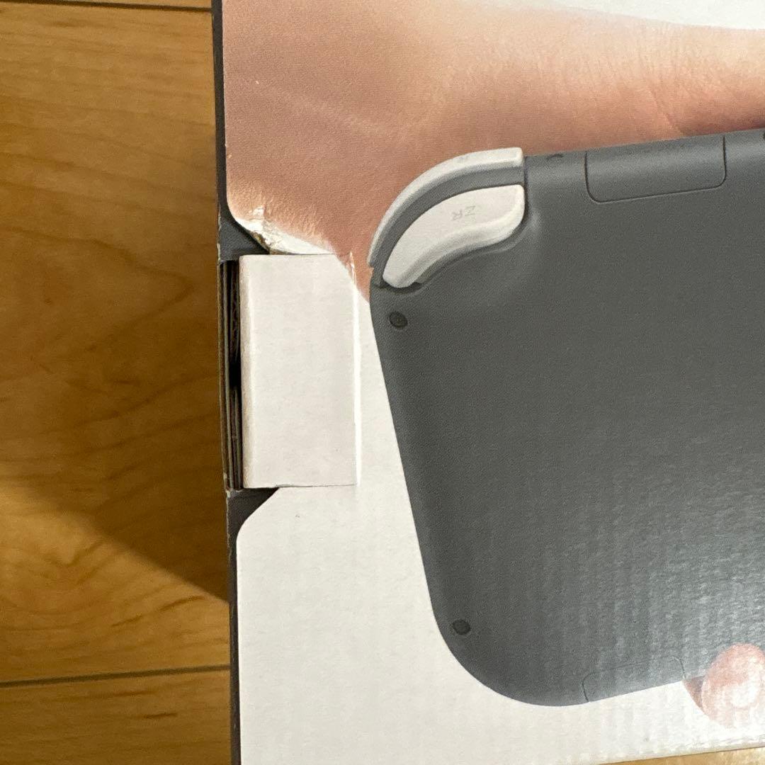 Nintendo Switch Lite グレー 本体 + 強化ガラスフィルム
