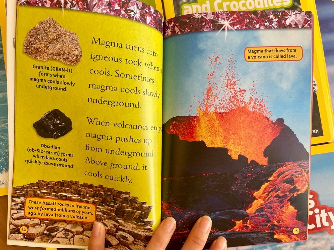 新品National Geographic Kids L2/41冊英語絵本　洋書