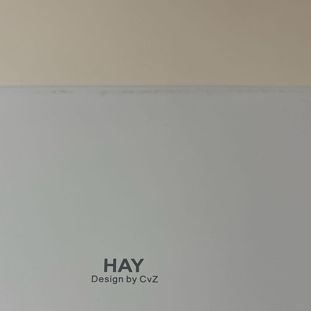 31日終了 HAY カレイド トレイセット