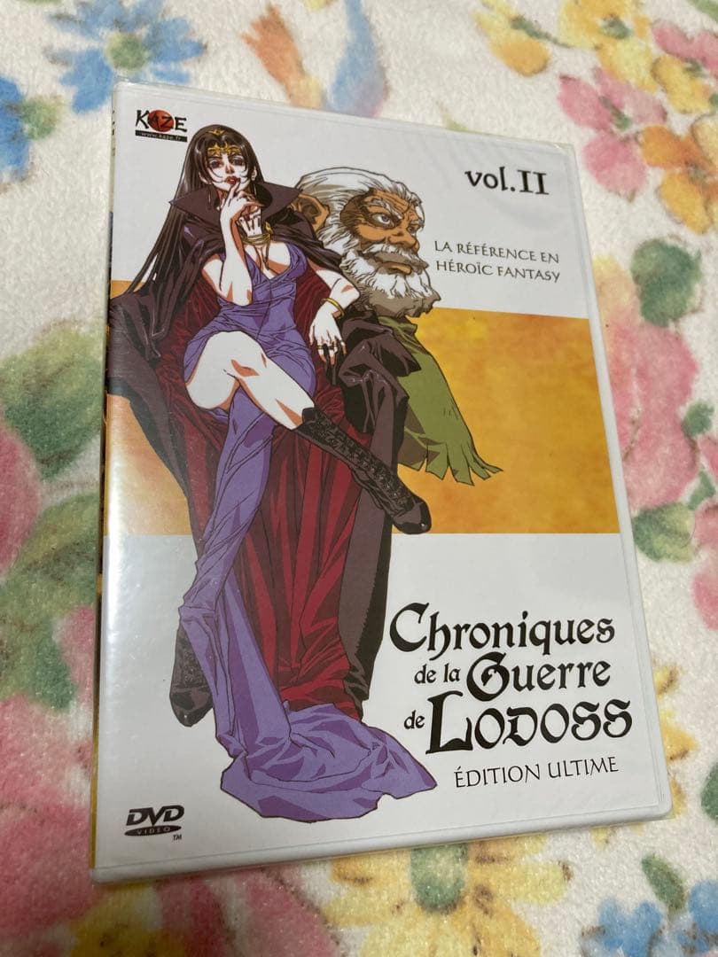 さらに値下げ★ロードス島戦記★海外版★DVD★中古、2つ未開封