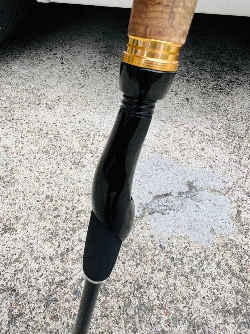 【タイムセール中】DAIWA BASS X 692MLS