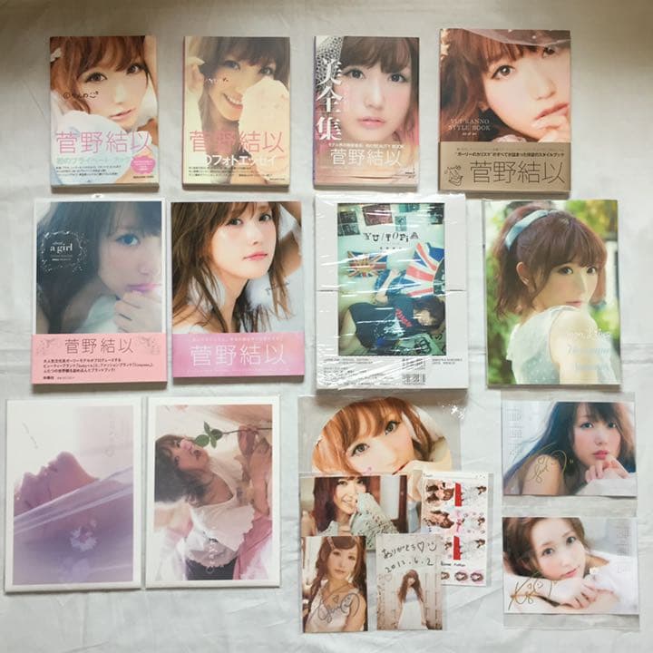 菅野結以　本　まとめ売り　(書籍+カタログ+非売品特典)
