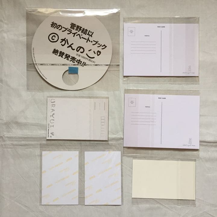 菅野結以　本　まとめ売り　(書籍+カタログ+非売品特典)