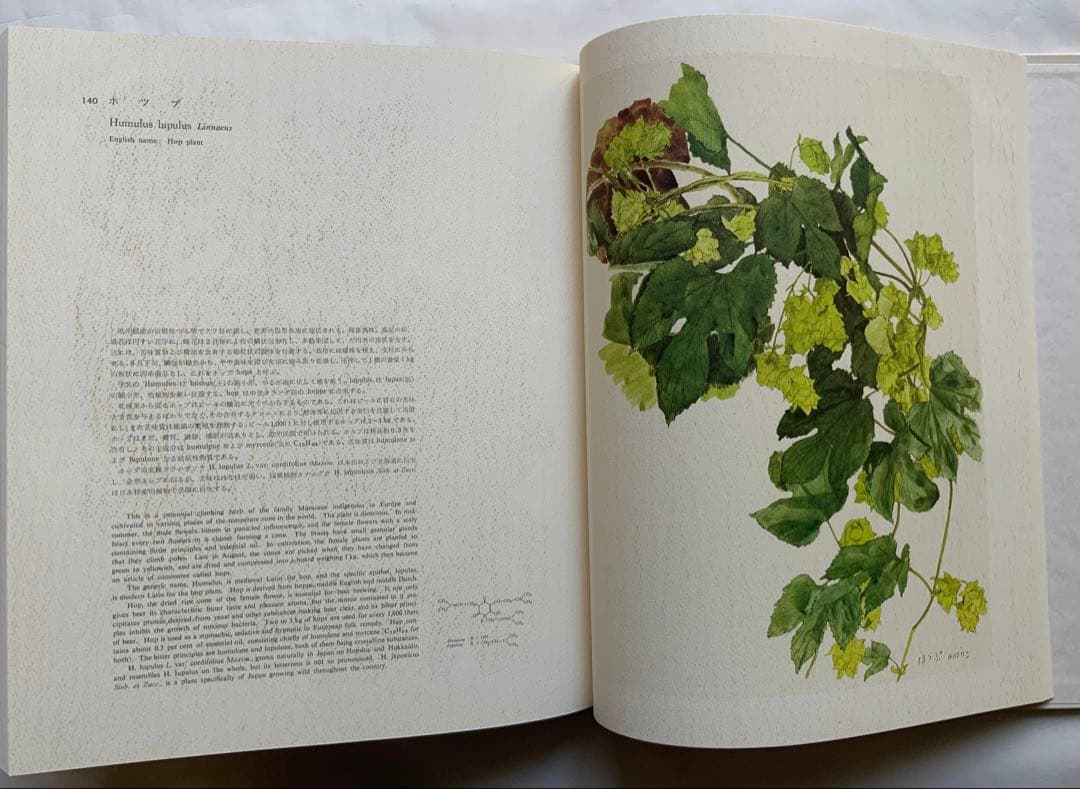 『薬用植物画譜』小磯良平文化勲章受賞記念　武田薬報表紙絵150点　刈米達夫　大型