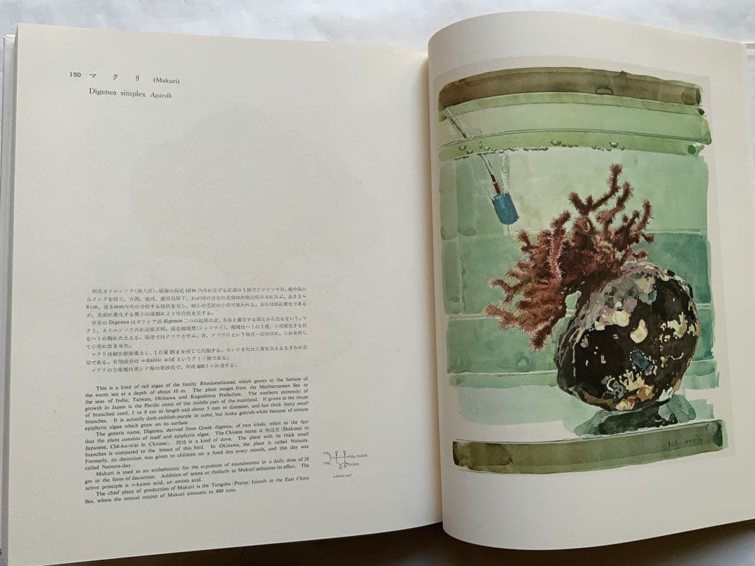 『薬用植物画譜』小磯良平文化勲章受賞記念　武田薬報表紙絵150点　刈米達夫　大型