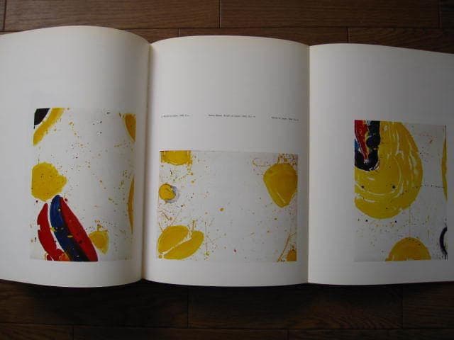 physics of the Void　Sam Francis