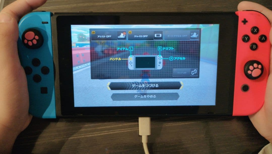 ニンテンドー Nintendo Switch 本体 HEG-001 動作確認済