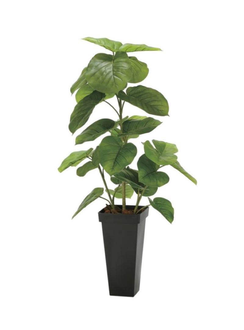 光触媒　人工観葉植物　フェイクグリーン　フレッシュDXスリムウンベラータ1.2m