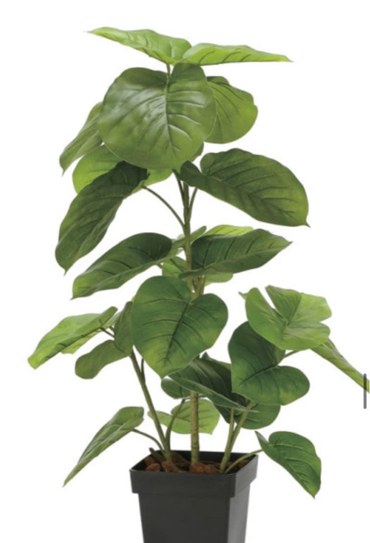 光触媒　人工観葉植物　フェイクグリーン　フレッシュDXスリムウンベラータ1.2m