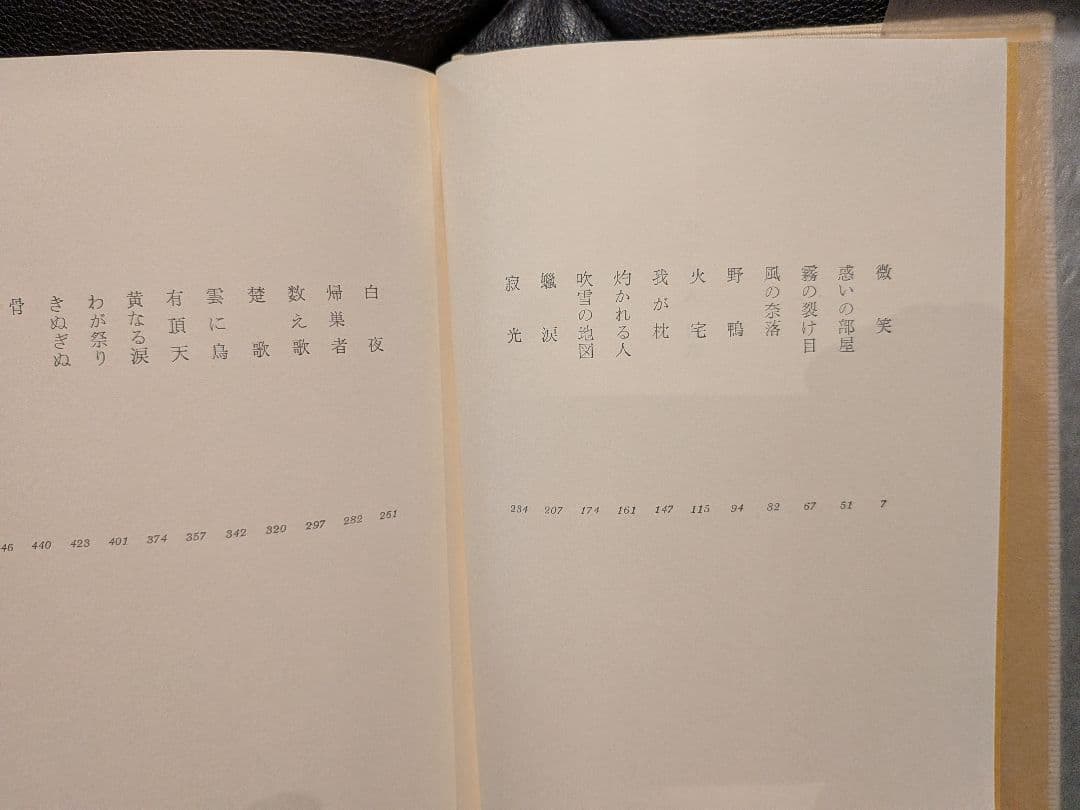 「火宅の人」 檀一雄