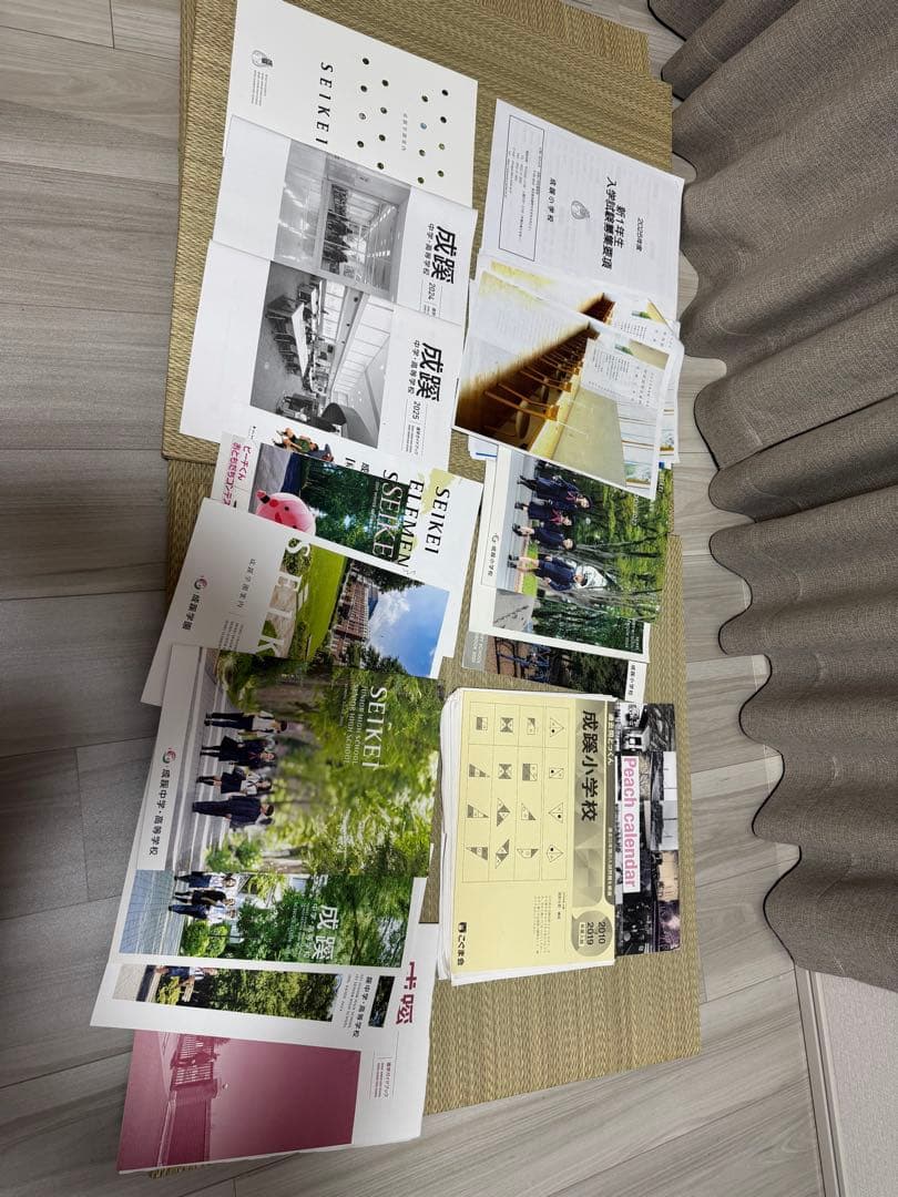 成蹊小学校　願書対策　試験対策　すもも