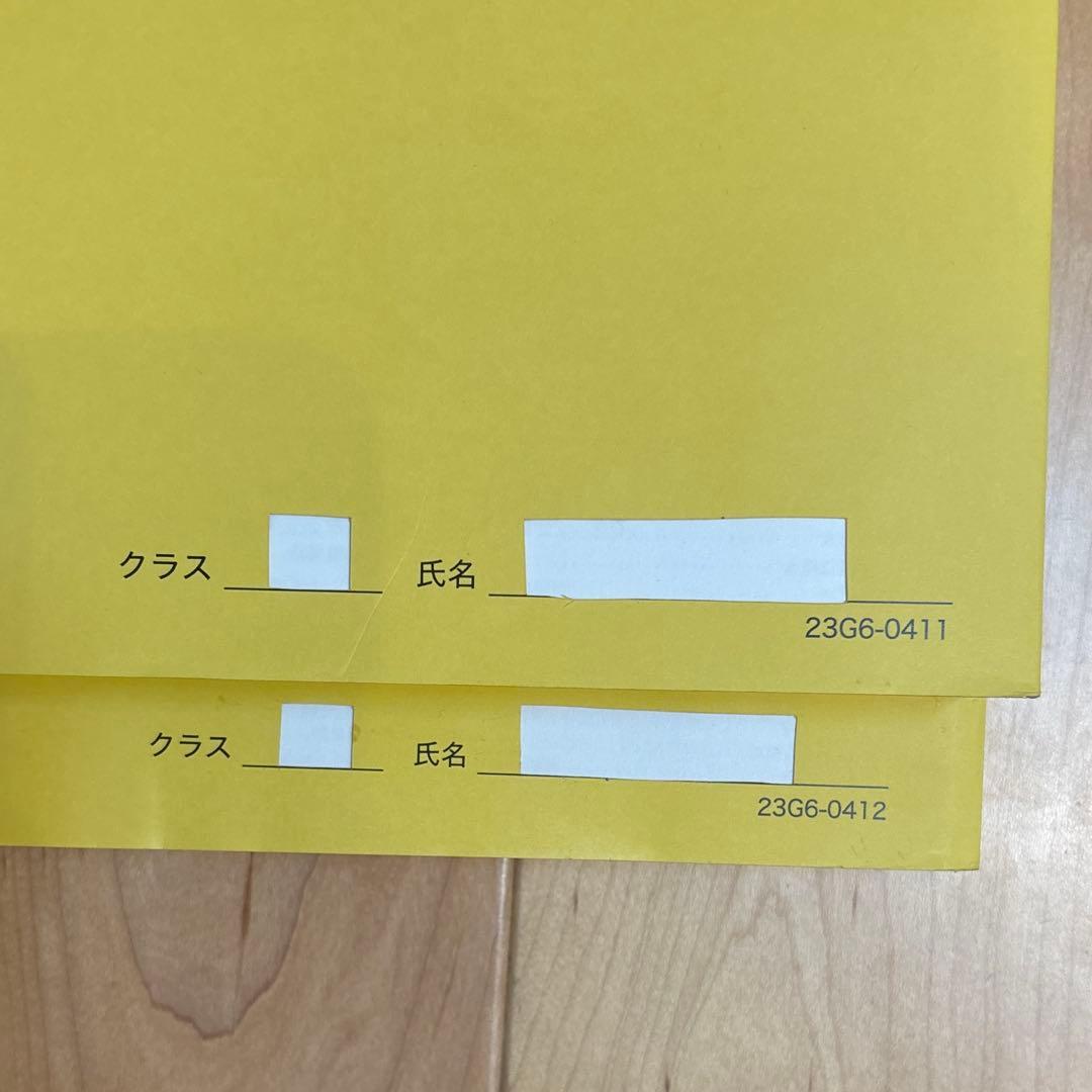 【新品】鉄緑会 高３ 化学 発展講座 上下巻セット 無機有機化学 理論化学
