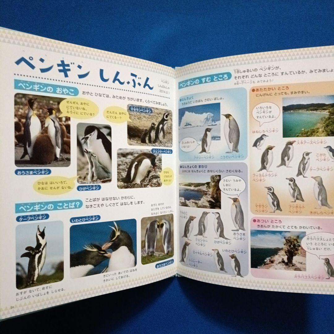 ビッグサイエンス　キンダーブックしぜん　こどものくに　ペンギンさんの絵本　大集合