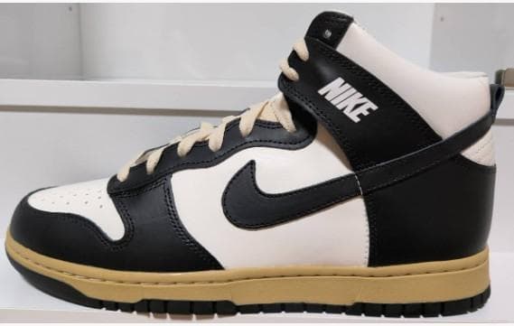 【27.5cm】NIKE WMNS DUNK HIGH (DZ4732-133)