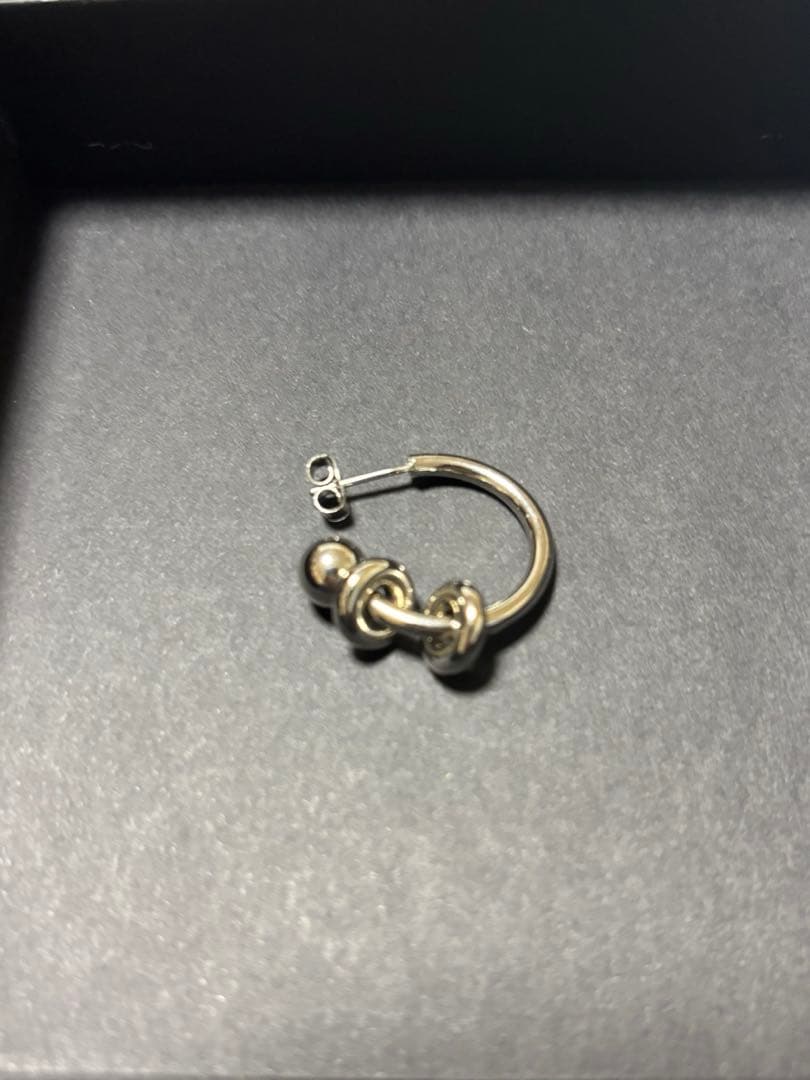 Justine qlenquet alan ピアス