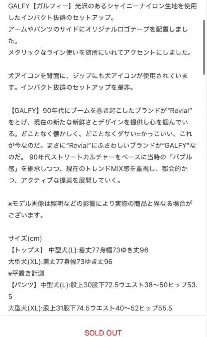 GALFY オーロラ ナイロンパンツ 賛否両論 極光 黒 翡翠 銀 XLサイズ