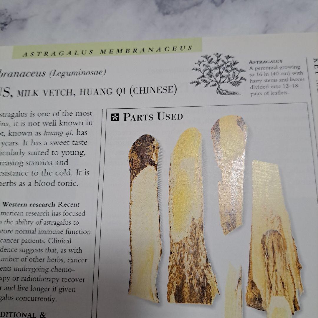 the Encyclopedia of Medicinal Plants 洋書