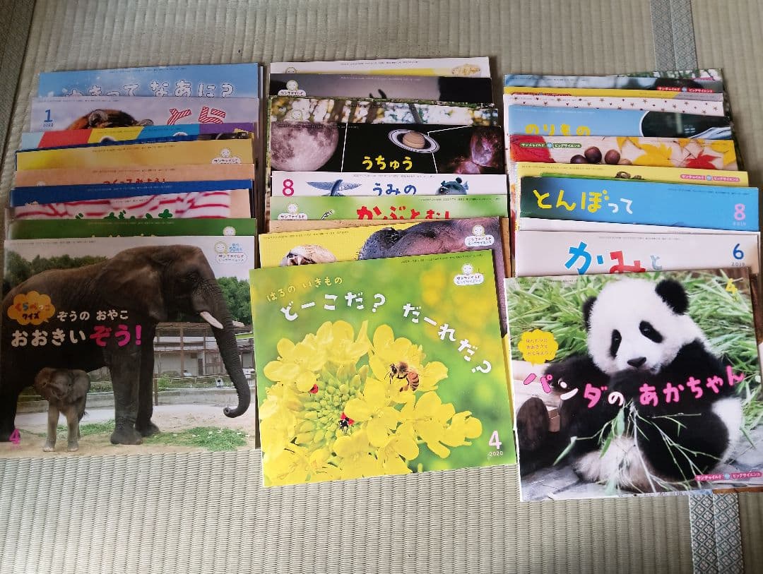幼稚園で購入絵本72冊プラス10冊程度