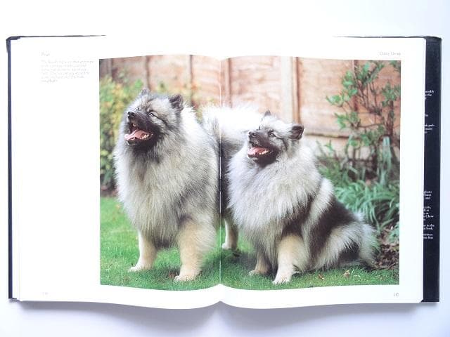 洋書◆犬の写真集 本