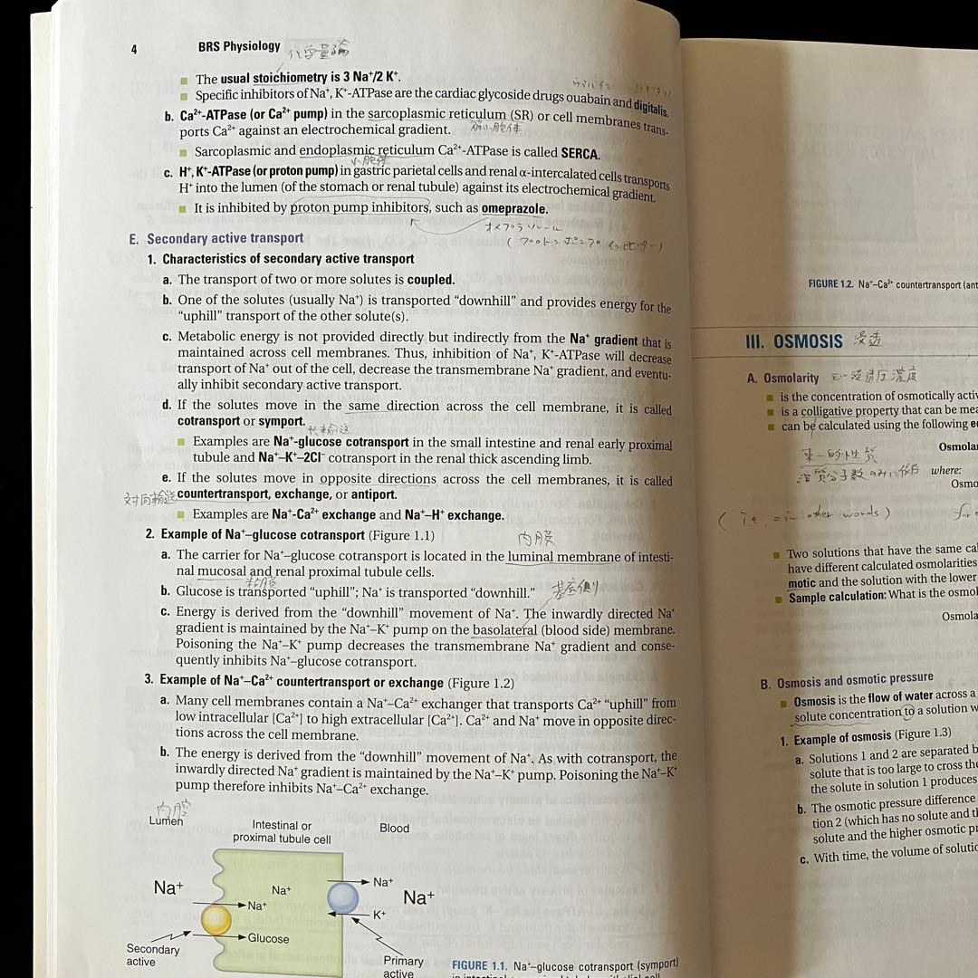 健康・医学 BRS Physiology SEVENTH EDITION