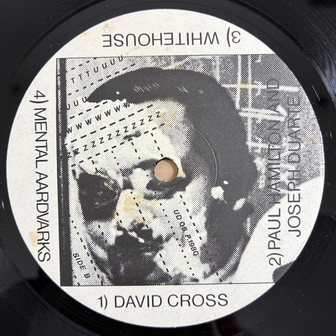 HOISTING THE BLACK FLAG 輸入12inchレコード