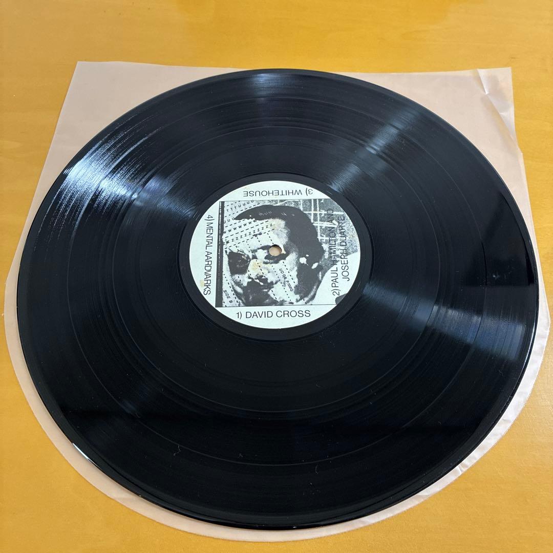 HOISTING THE BLACK FLAG 輸入12inchレコード