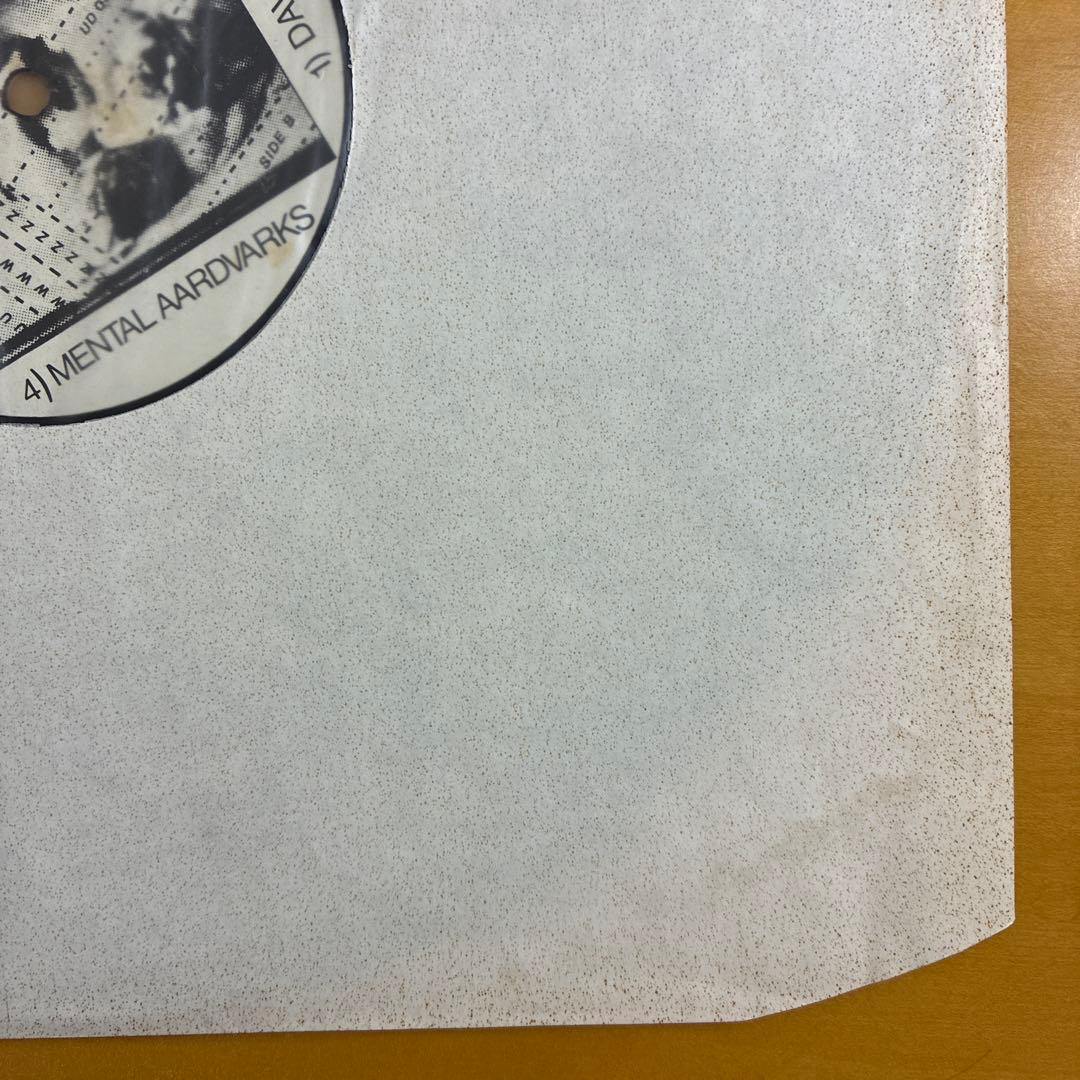 HOISTING THE BLACK FLAG 輸入12inchレコード