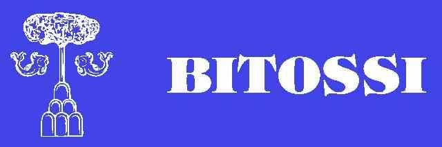 置物 ヤマアラシ リミニブルー ビトッシ bitossi クラシック イタリア