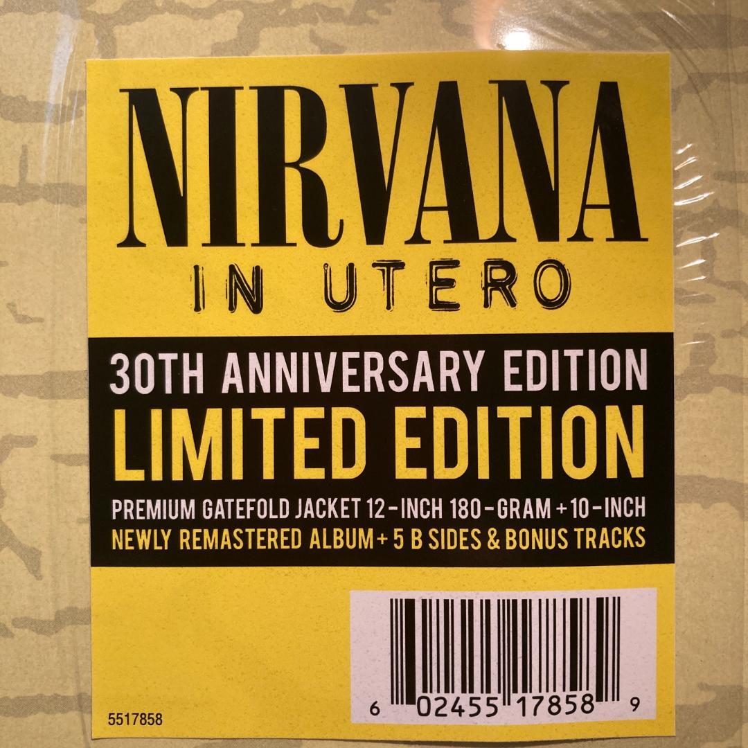 洋楽 Nirvana In Utero (30th Anniversary)