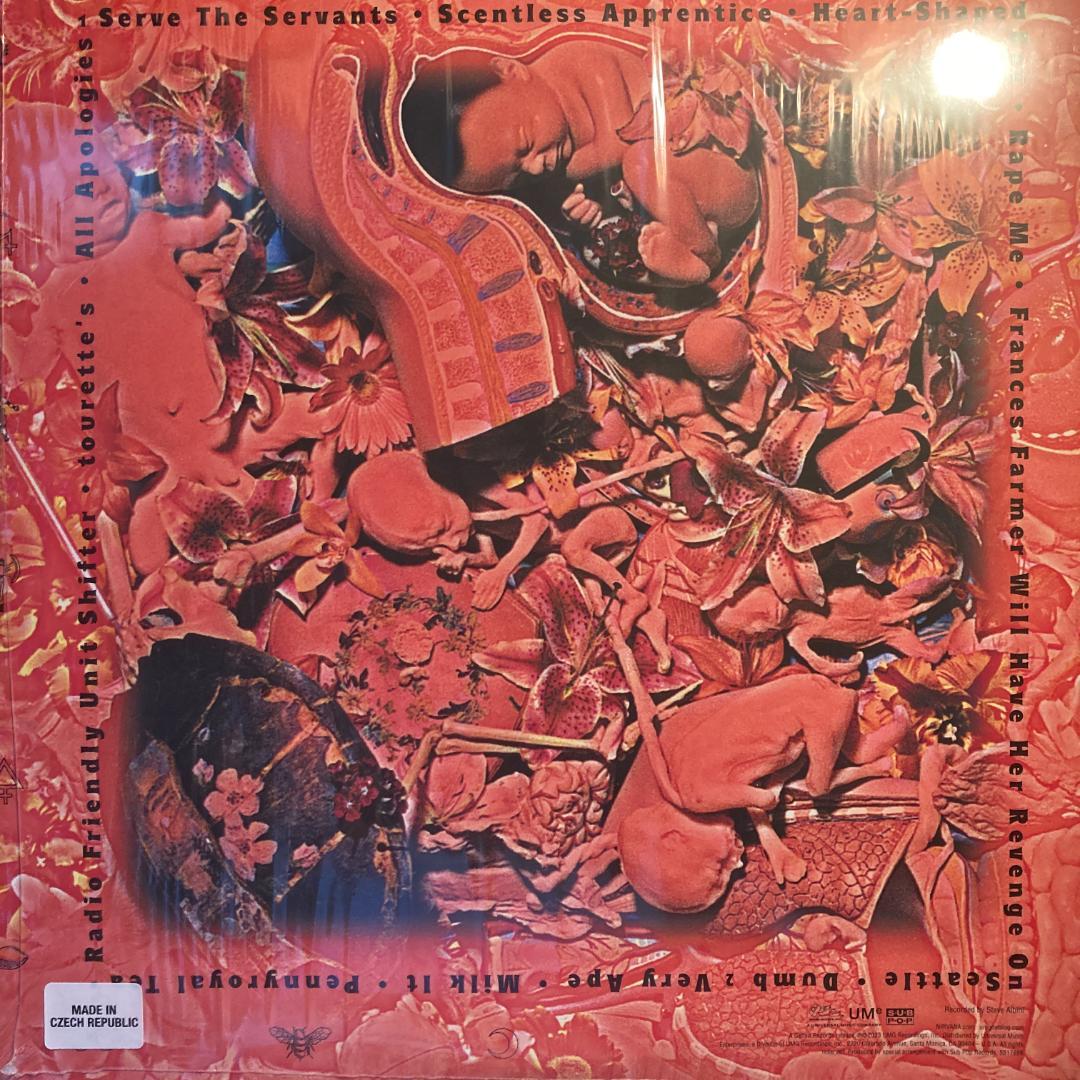 洋楽 Nirvana In Utero (30th Anniversary)