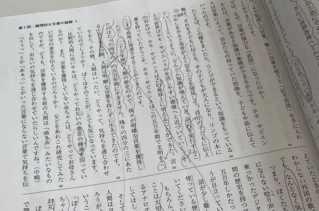6年　夏期講習
