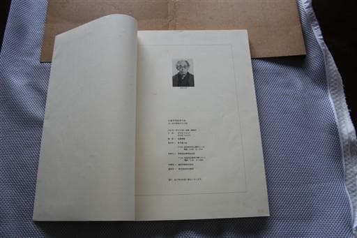◇　おまけ付き　佐藤蒼龍　臨書大成　◇