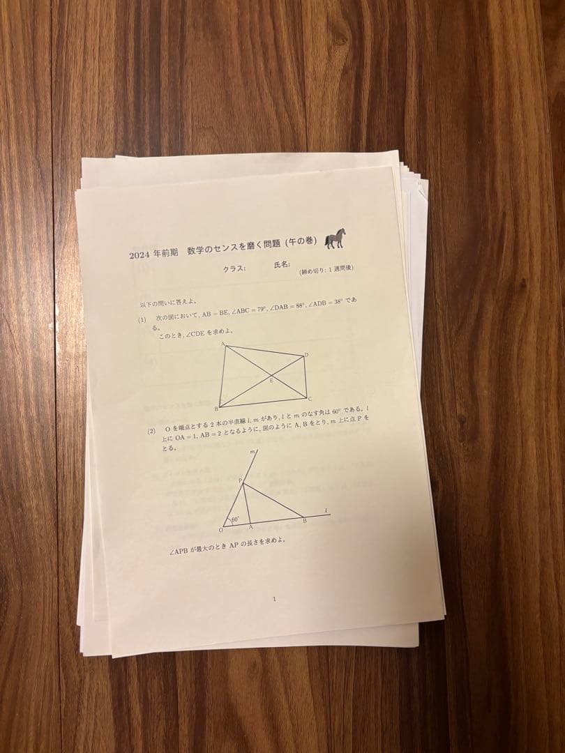 【駿台】【ⅠAⅡBⅢC】高2エクストラ数学・センスを磨く問題(30枚)のセット