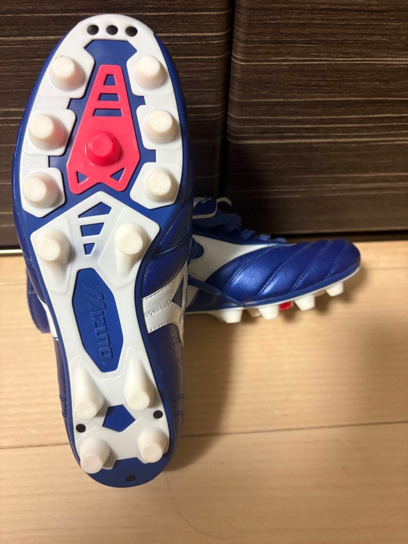 【限定カラー・入手困難】MIZUNOモレリア2