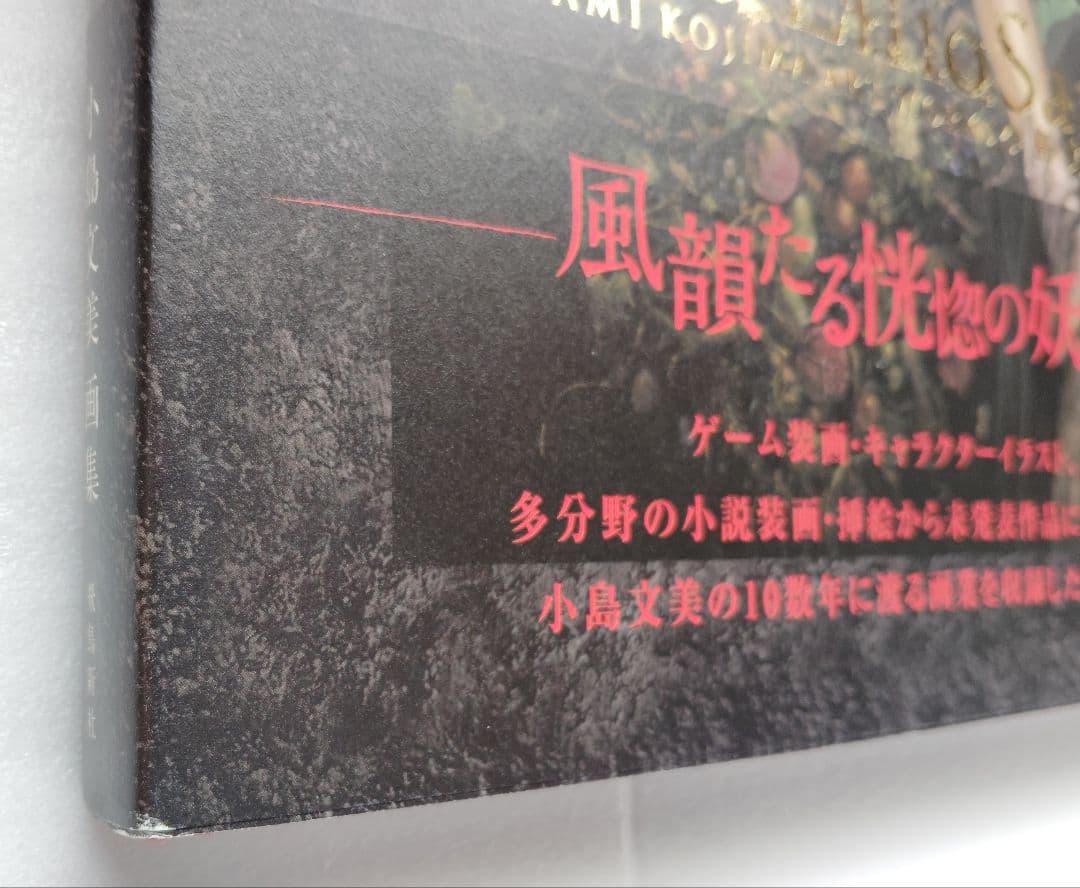 小島文美 画集 イラスト集 緋いユリ　Santa Lilio Sangre
