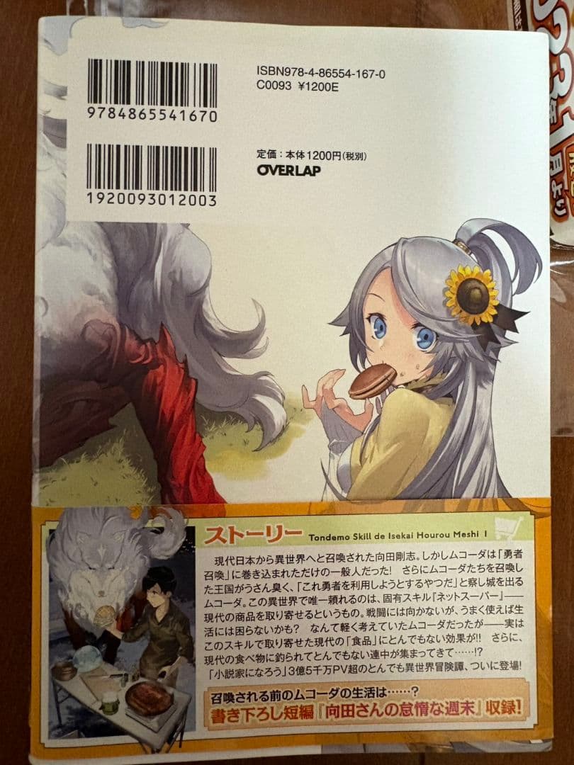 とんでもスキルで異世界放浪メシ 1〜11巻　小説
