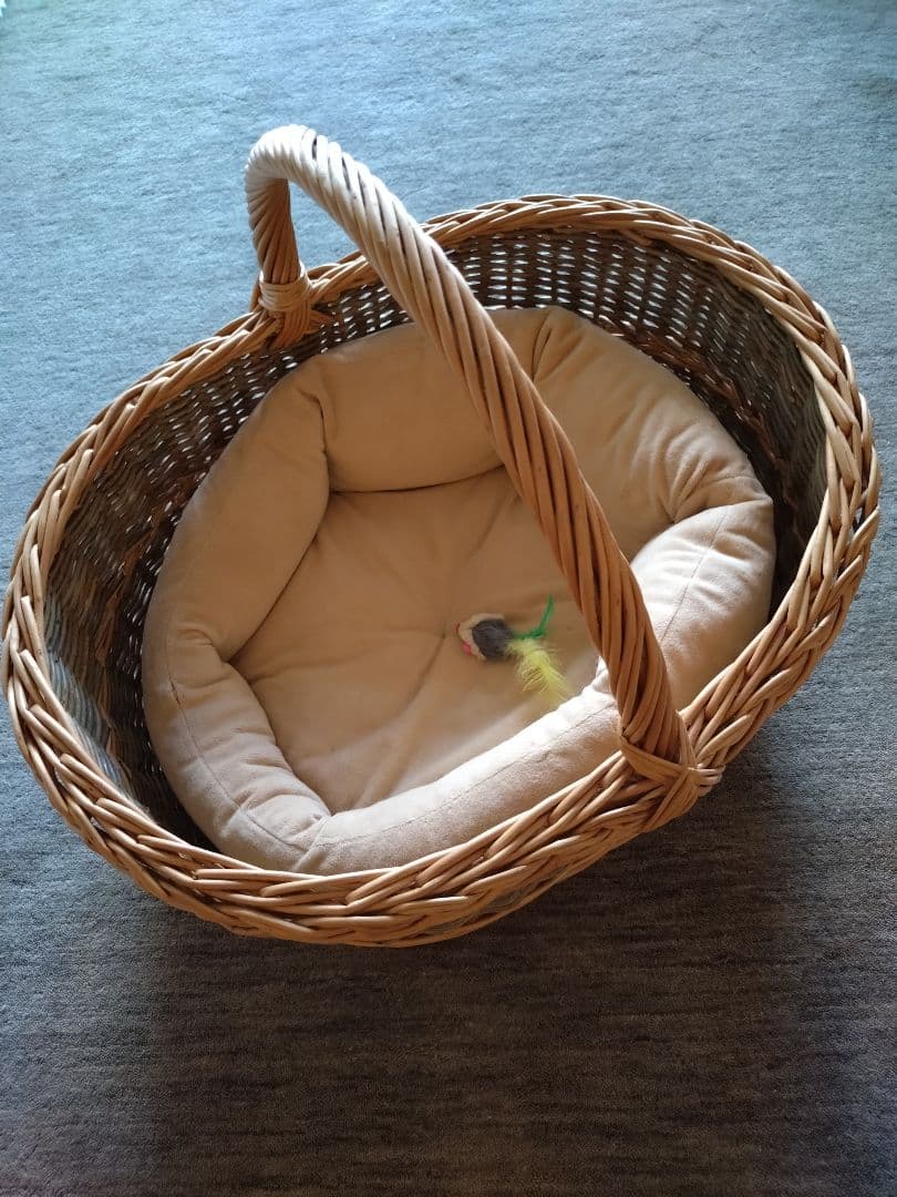 【中古/美品】大型バスケット　ラタンかご　グリーンｘナチュラル