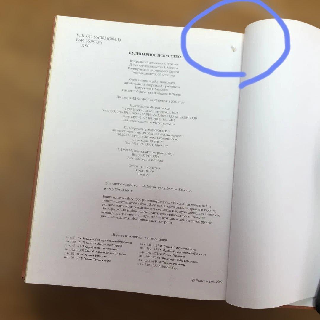 Кулинарное искусство 料理本 洋書　ロシア？　ロシア語？