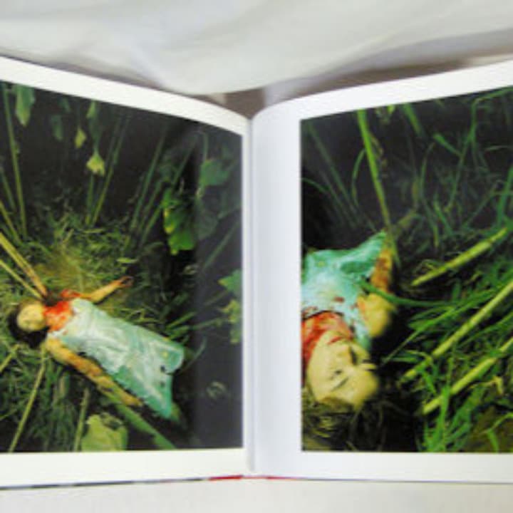 ■ Landscapes With a Corpse 伊島薫 ■