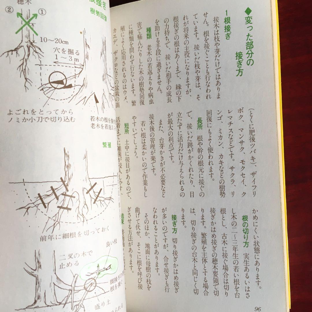 カラー版絵とき　さし木　つぎ木の楽しみ方　湯浅浩史　池田書店