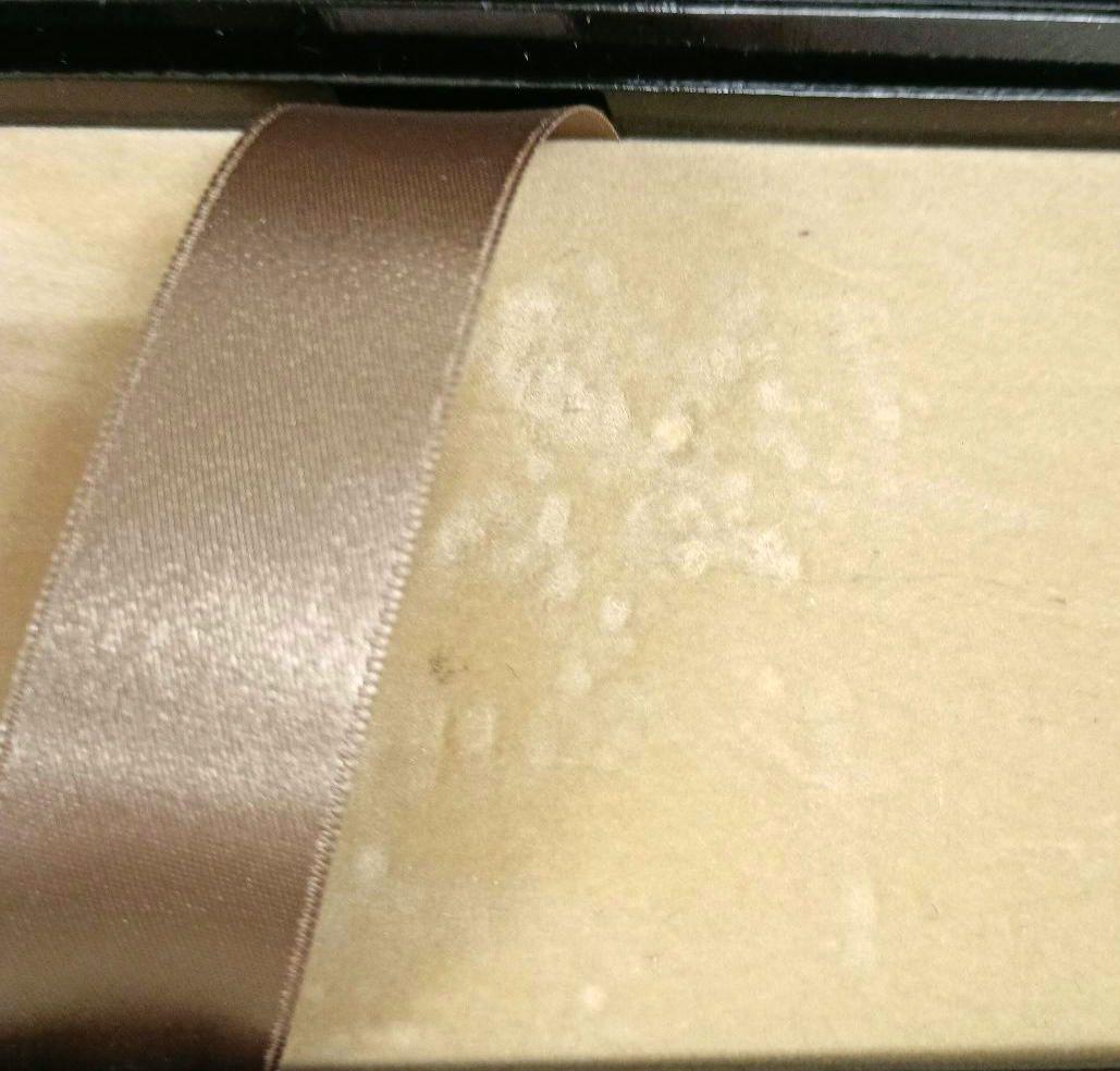 PILOT パイロット カスタムレガンス未使用品 万年筆 ＆シャープペン